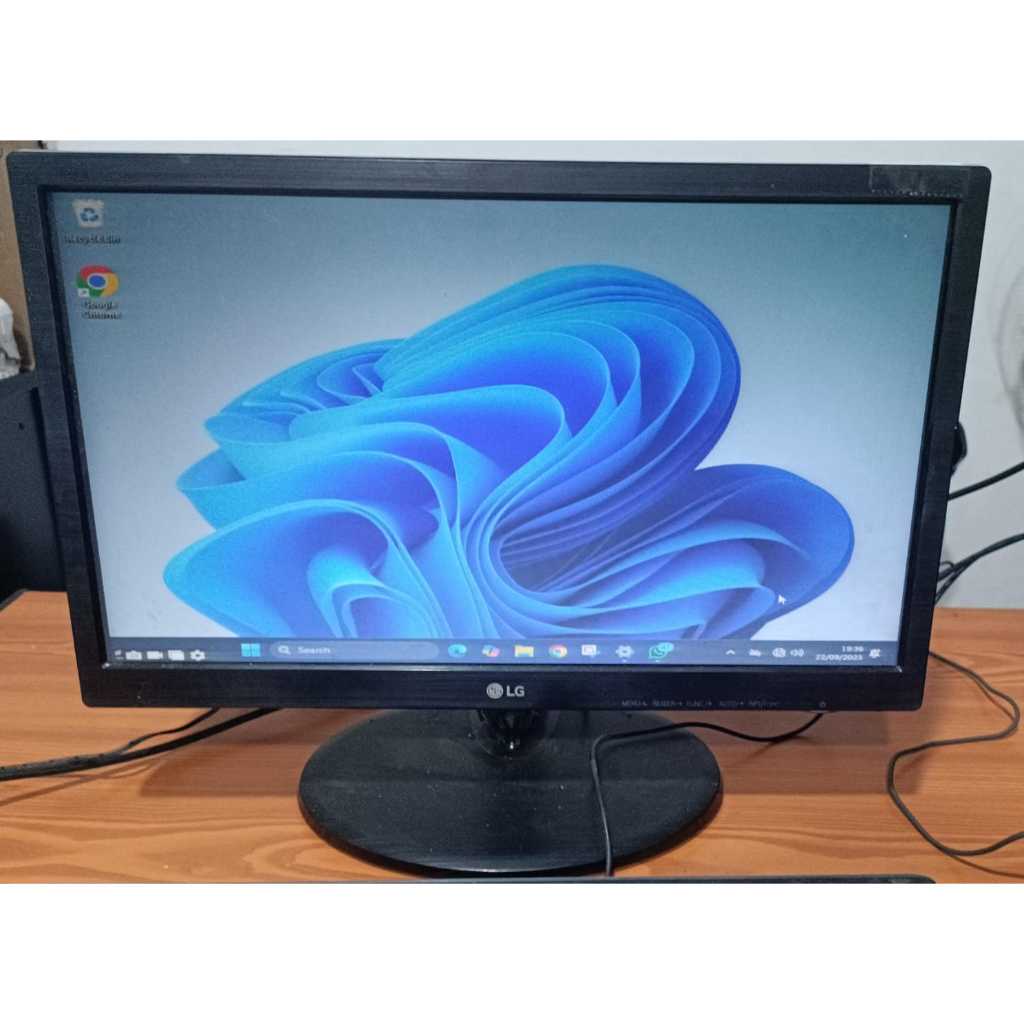 MONITOR LG 19M38A-B