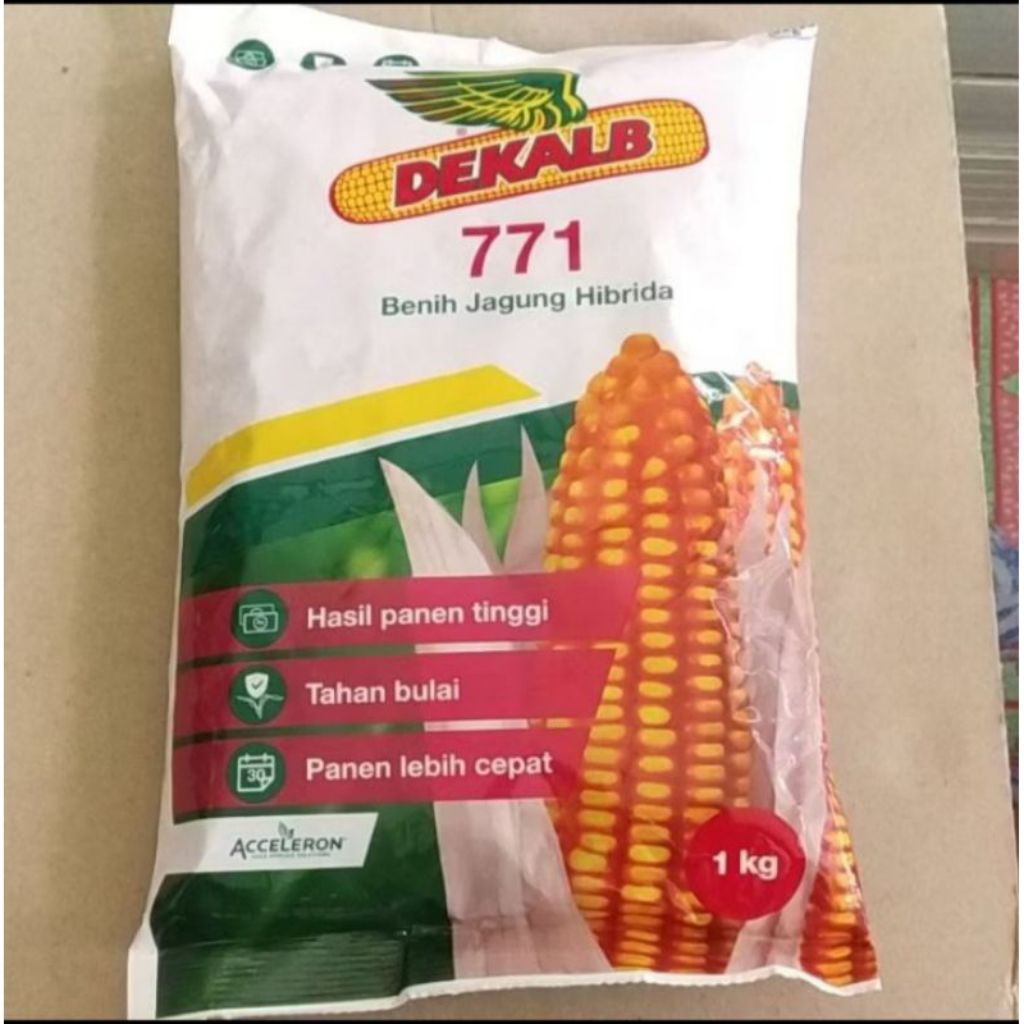 TERPOPULER BENIH JAGUNG DK 771 / JAGUNG DEKALB 771 KEMASAN 1 KG ORIGINAL