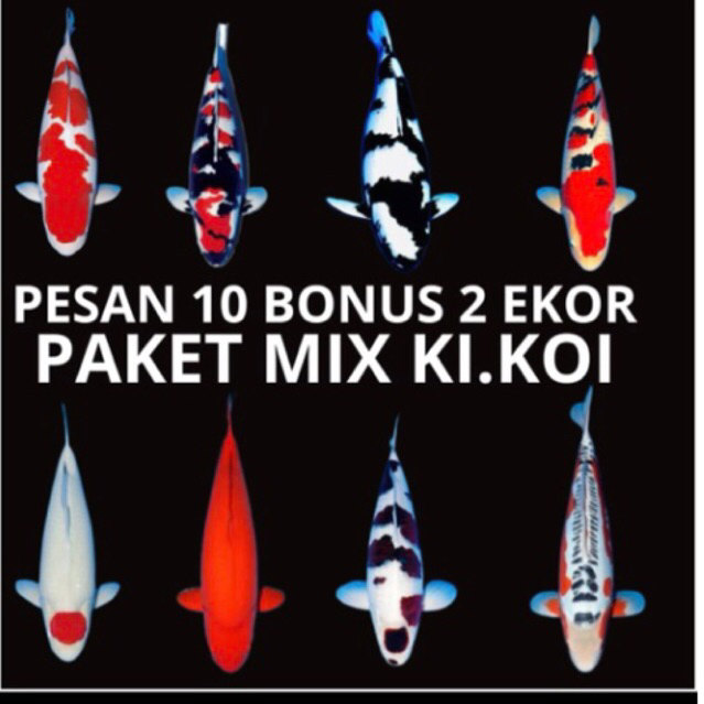 hiasan aqurium yamabuki ogon slayer