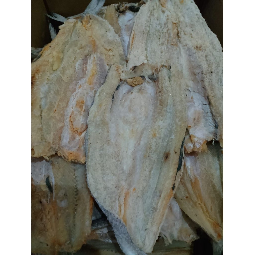 IKAN ASIN BLOSO/IKAN GABUS LAUT PREMIUM