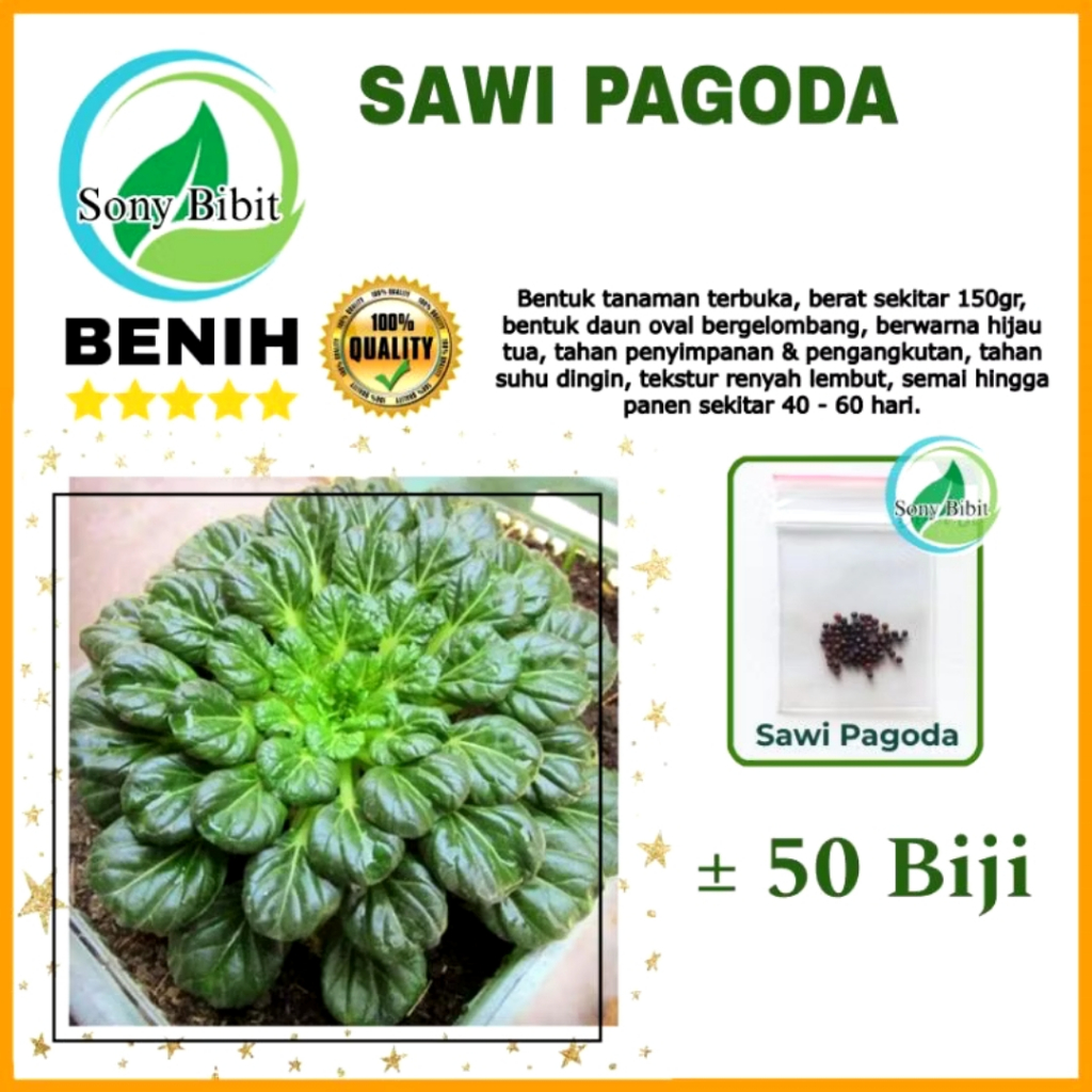 Benih Sawi Pagoda Unik Rasa Manis Asin