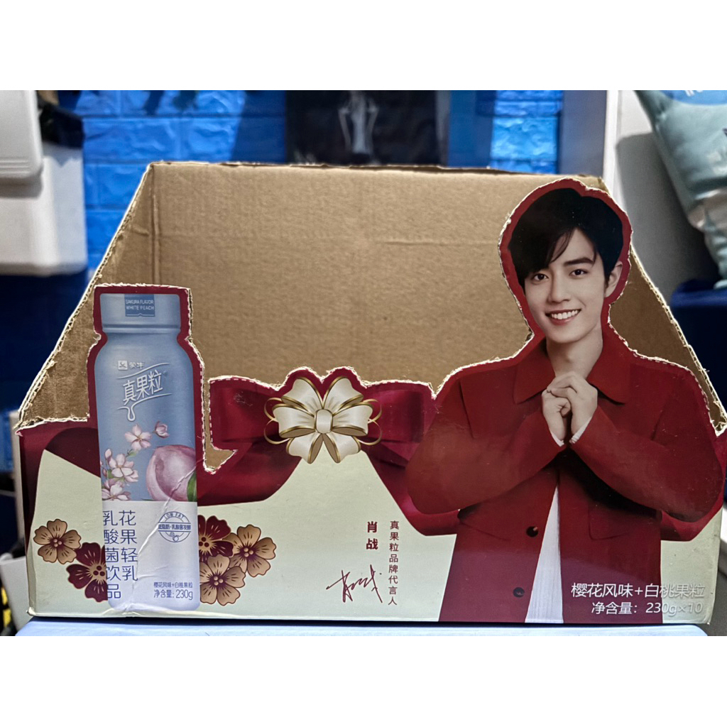 Xiao Zhan - Dus Xiao Zhan Box File Xiao Zhan