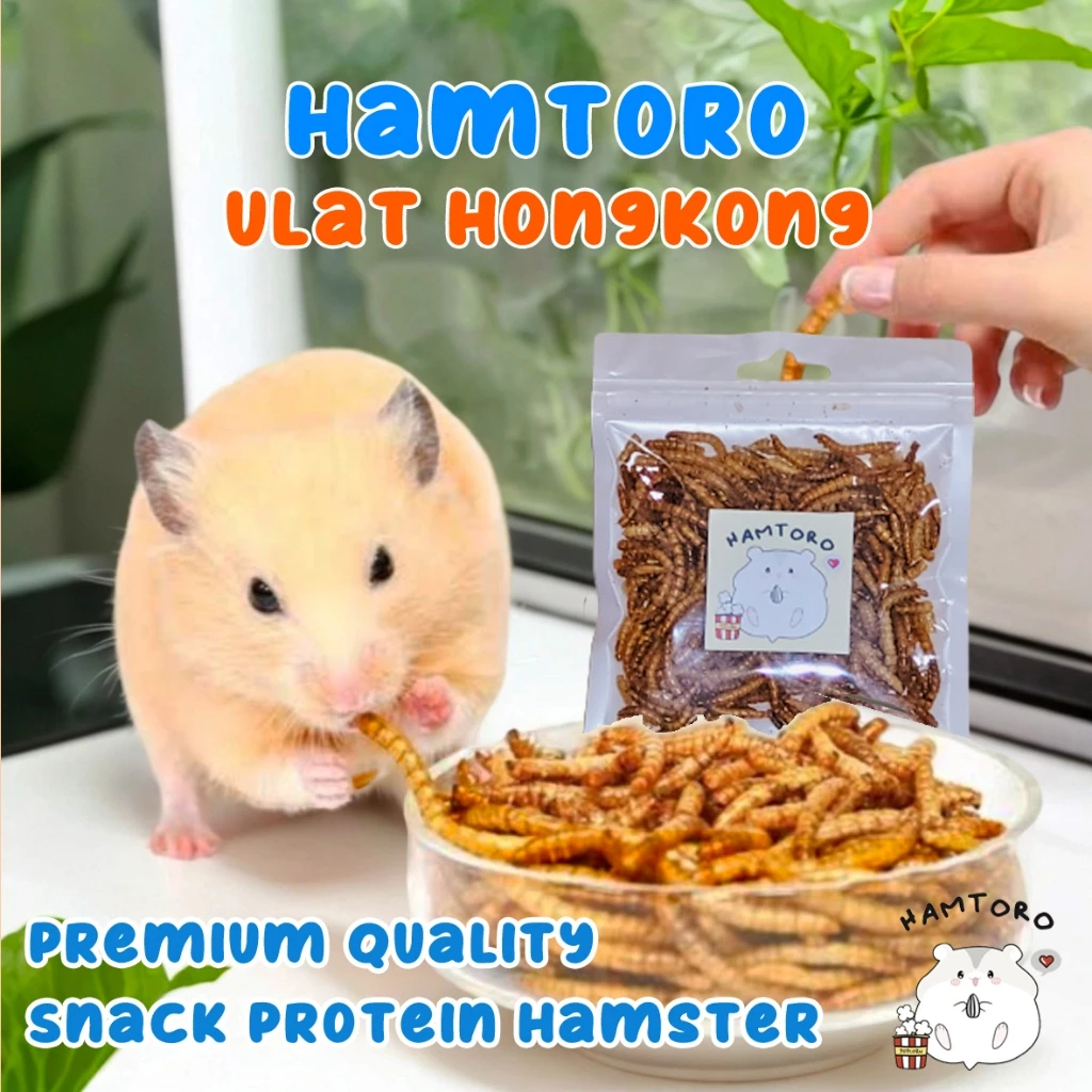 Ulat Hongkong Kering 10g Makanan Hamster/Burung/Sugar Glider