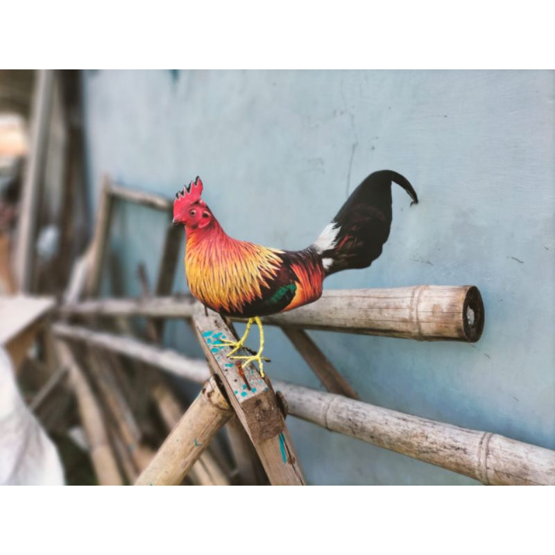 PATUNG JONTROT AYAM HUTAN MERAH MIRIP ASLI AMPUH - PATUNG DECOY AYAM HUTAN MERAH JANTAN