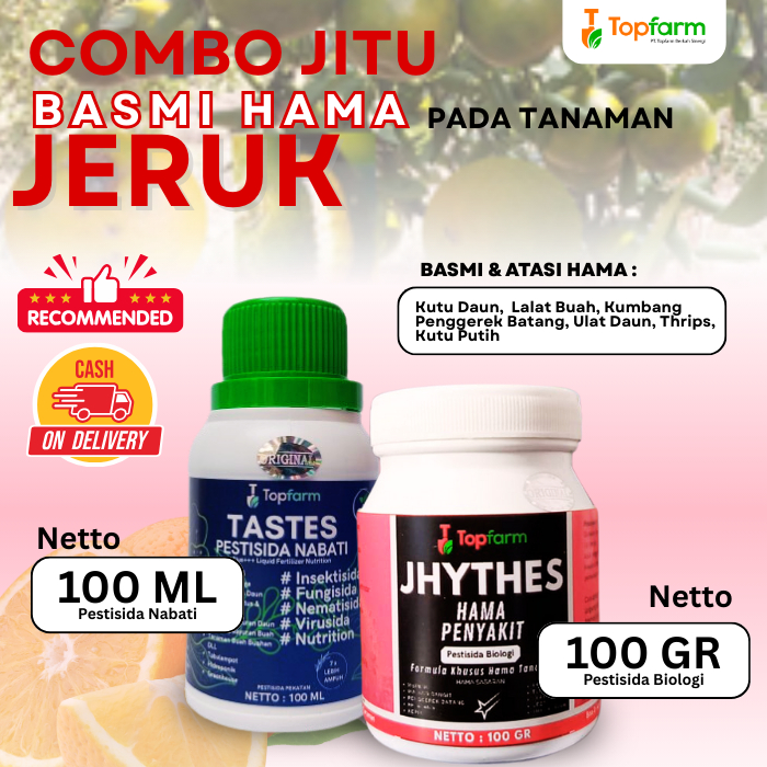 Insektisida Buah Jeruk / Obat Hama Ulat Buah Jeruk / Obat Hama Ulat Daun Jeruk / Insektisida Pembasm