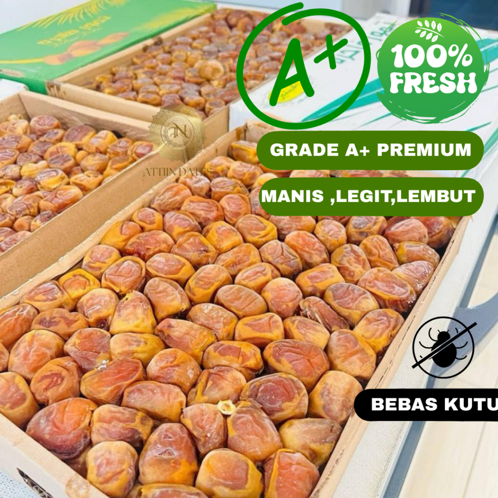 Kurma Sukari 3 Kg Premium Al Qasim – Sukari NR VIP 1 Dus Fresh Manis Legit-Asli Al Qasim Berkualitas