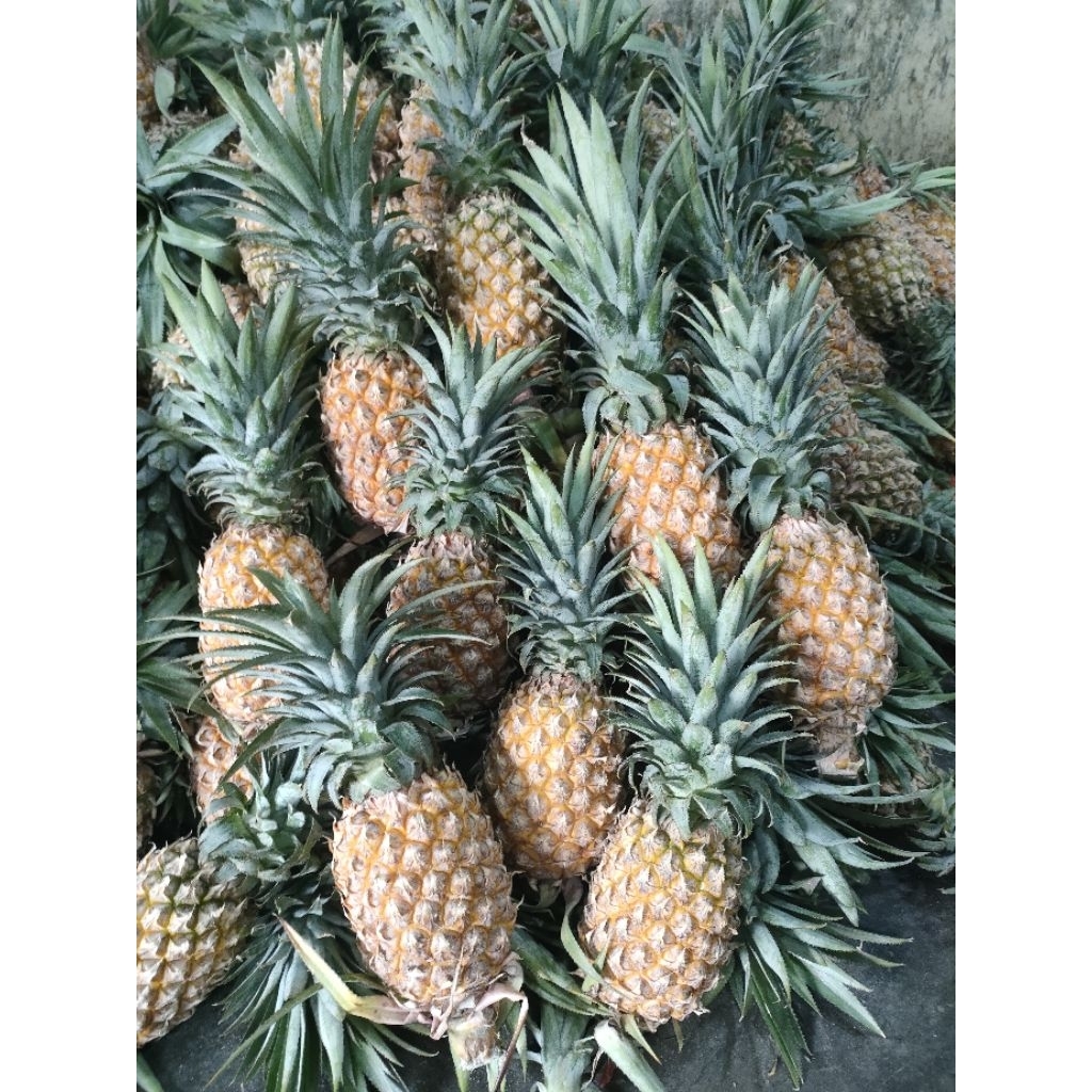 Nanas asli Palembang, kupas, parut 1 pcs