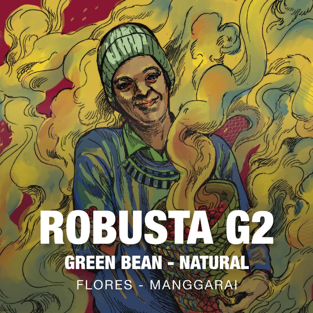 Green Bean Robusta Natural Grade 2 - 5kg Biji Kopi Mentah Flores Manggarai