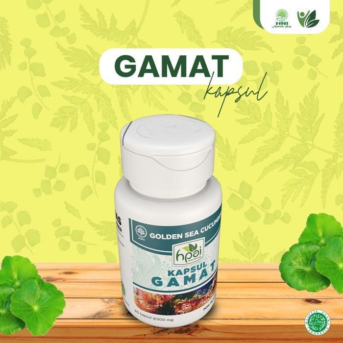 BISA COD HNI HPAI - Gamat Kapsul Original (Golden Sea Cucumber)