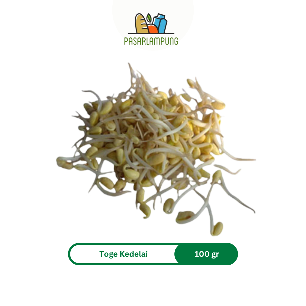 Toge Kecambah Kedelai 100 Gram Pasar Lampung