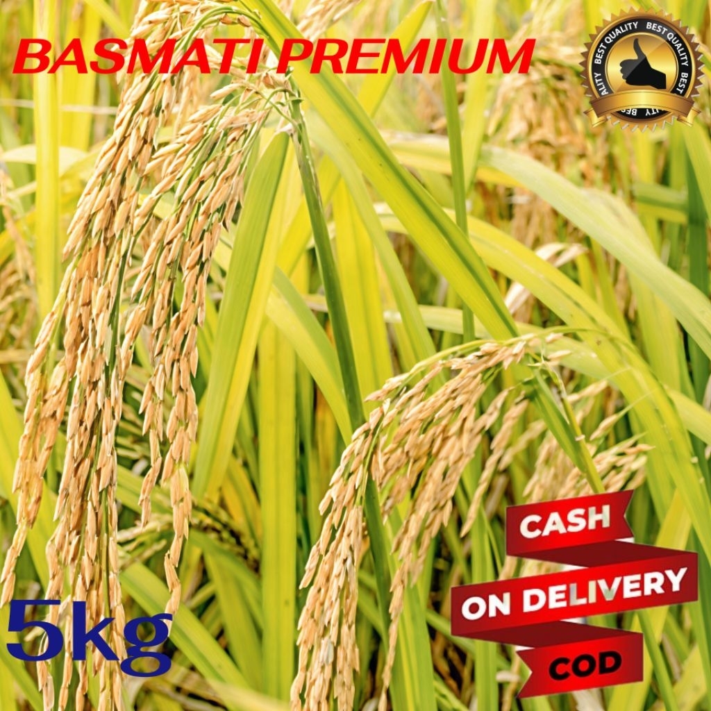 BIBIT BENIH PADI BASMATI PREMIUM KEMASAN 5 KG