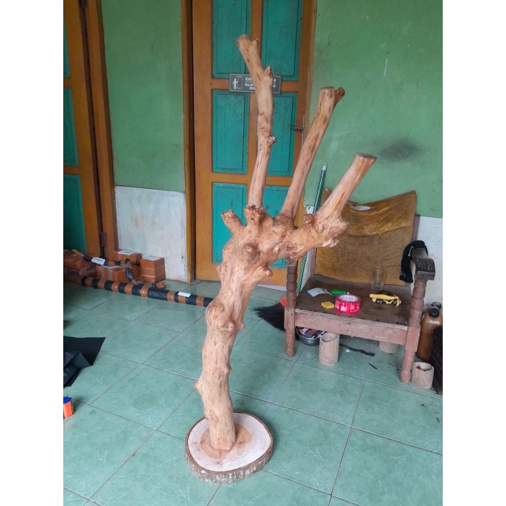 promo) bonggol kayu kopi/media tempel anggrek +tatakan baki bulat/T-100,120,130cm ready siap kirim