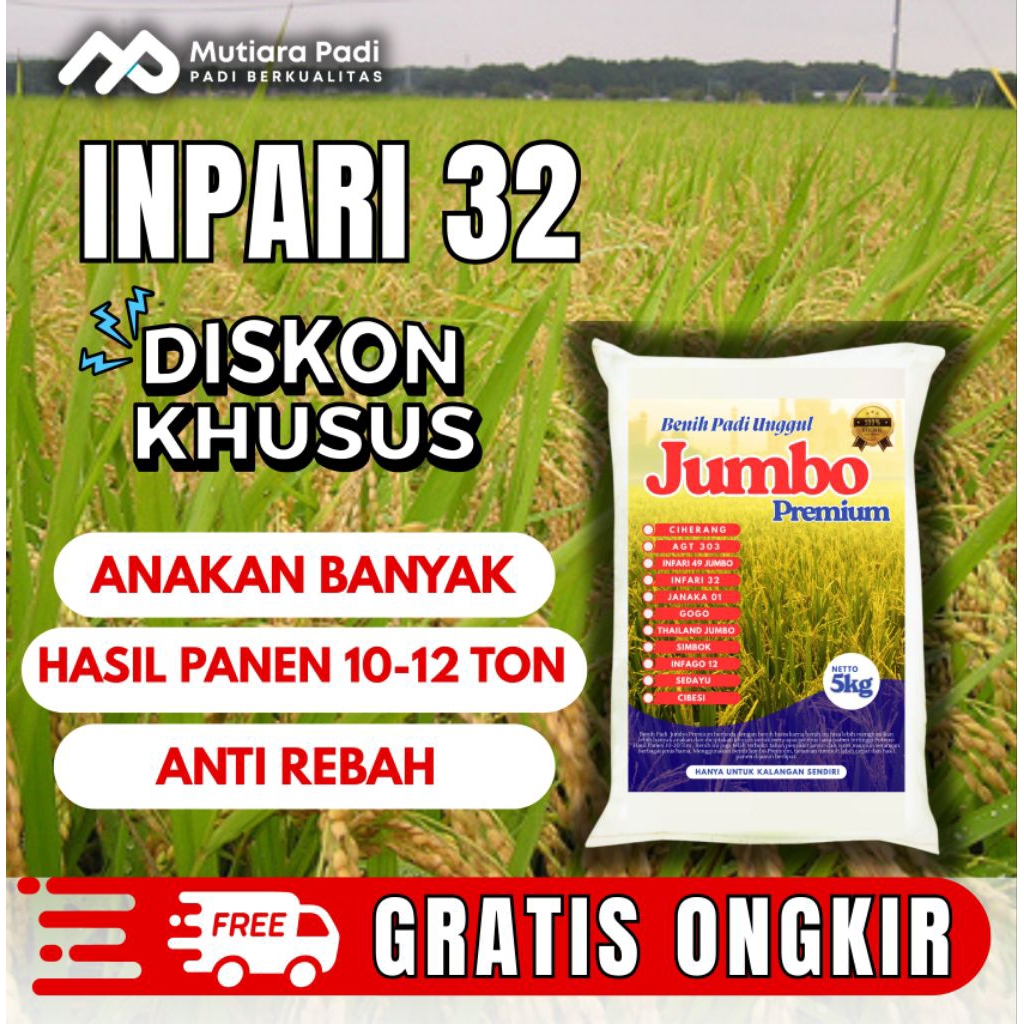 BIBIT PADI BENIH PADI UNGGUL BERKUALITAS INPARI 32 JUMBO KEMASAN 5KG