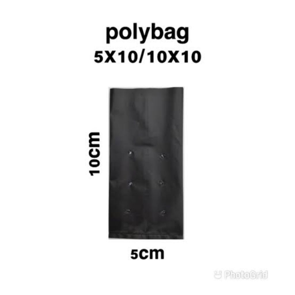 Polybag tanaman khusus semai isi 800 pcs / Polybag tanaman kecil untuk semai bibit
