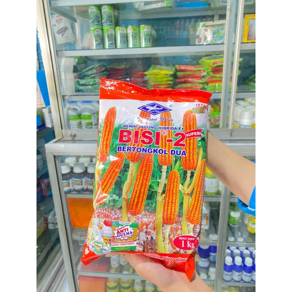 Benih Jagung BISI 2 Cap Kapal Terbang 1 KG