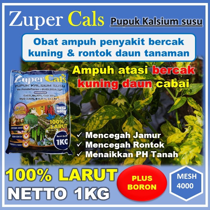 ZuperCals Pupuk Anti Becak Kuning Daun Cabe Obat Paling Ampuh Atasi Bercak Kuning Daun Cabe ISI 1KG