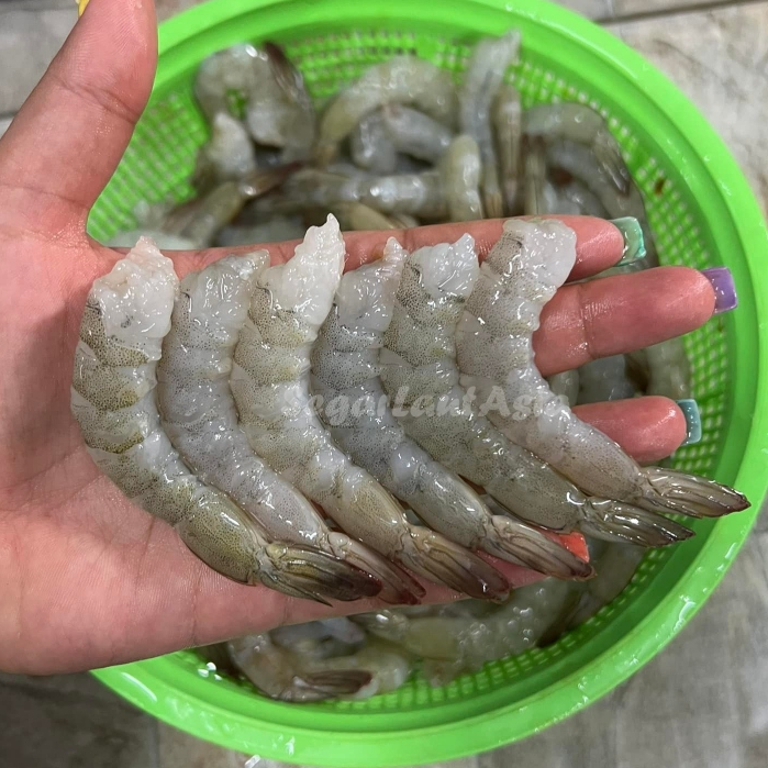 Udang Vaname Segar Udang Vanamei 1Kg