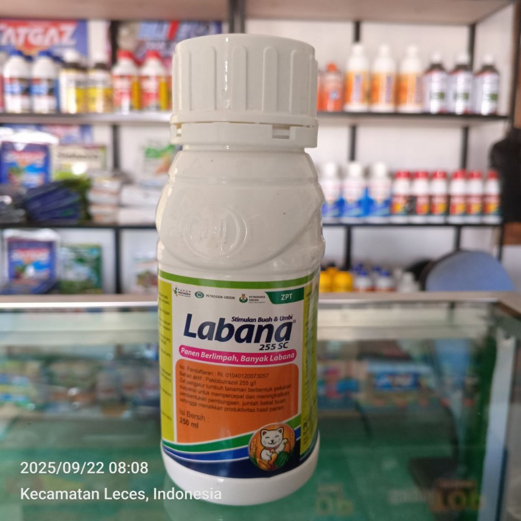 100% ASLI Labana 255 SC 250ml - ZPT Paklobutrazol | Perangsang Bunga Serempak & Panen Maksimal