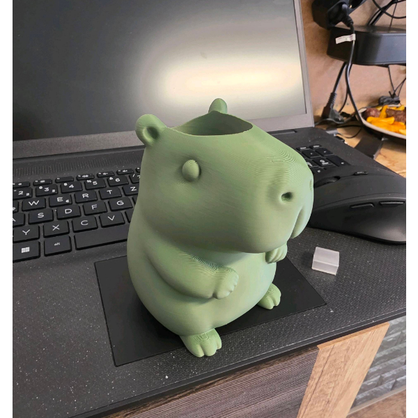 Tempat Pensil Lucu Capybara Aesthetic – Kotak Pensil Meja Unik Dekorasi & Japanese Stationery