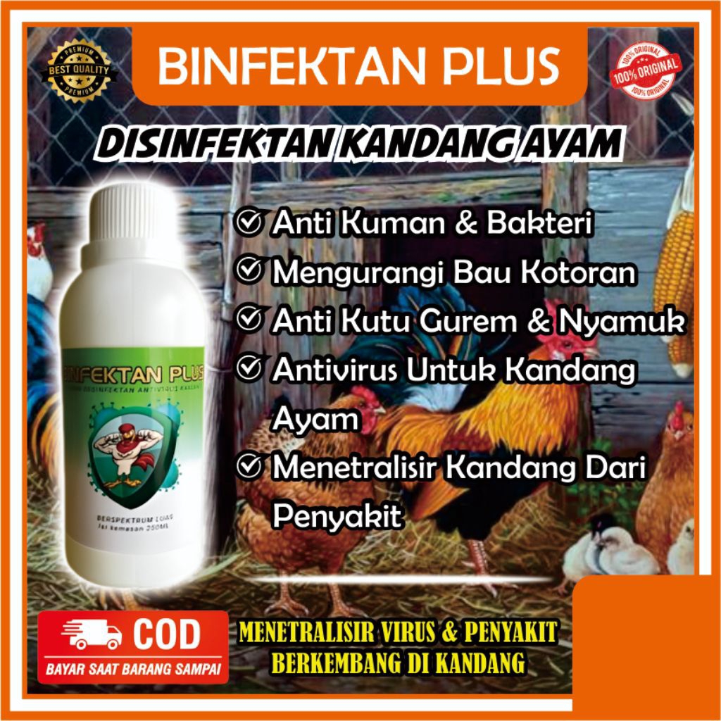 desinfektan anti-virus BINFEKTAN PLUS untuk menetralisir virus dan bakteri di kandang ayam Mengurang