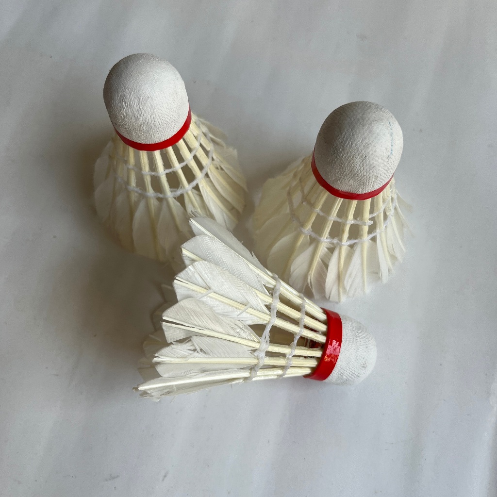 Jochi Kok Badminton Gong 2000