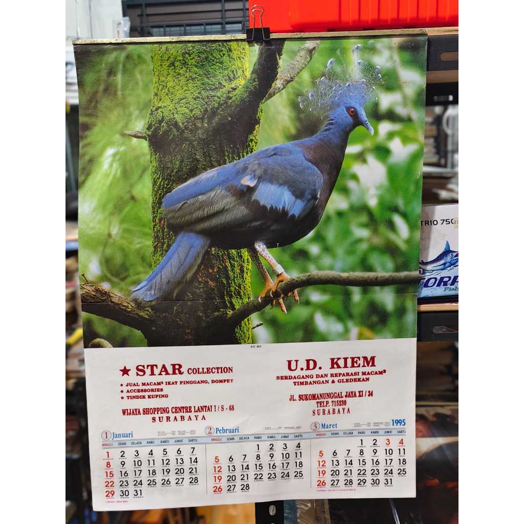KOLEKSI LANGKA KALENDER JADUL KALENDER TAHUN 1995 STAR SURABAYA