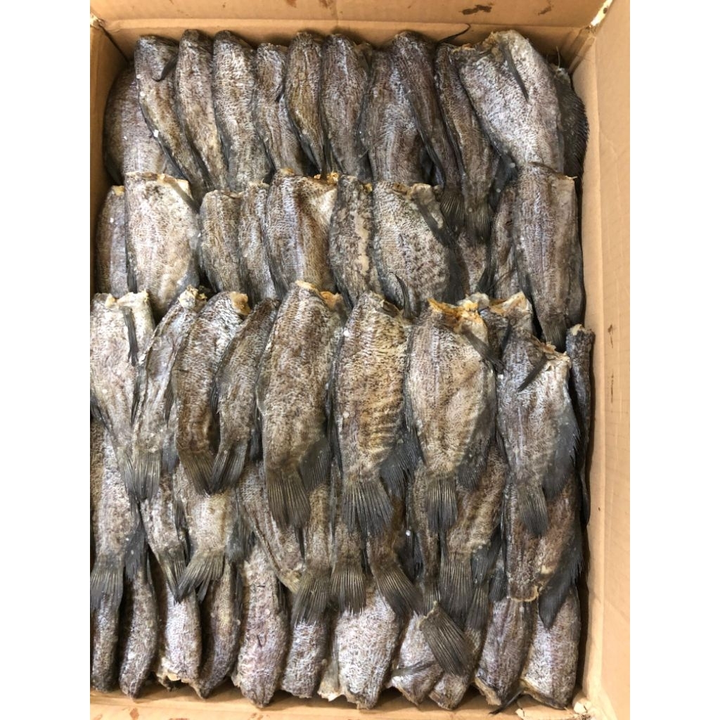 Ikan asin sepat siam ukuran jumbo / besar kualitas super