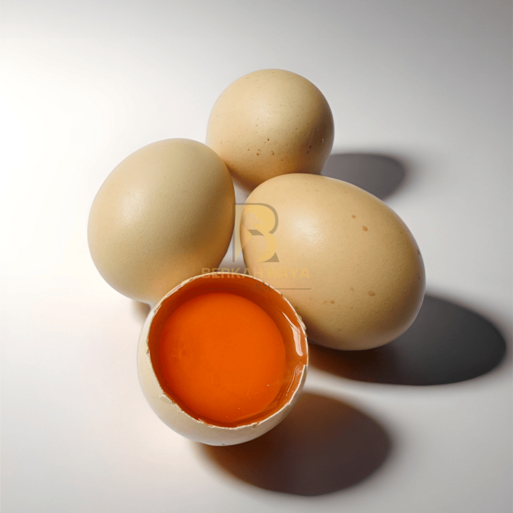 Telur Ayam Kampung Omega 3