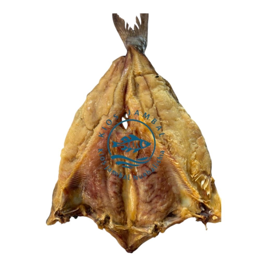 Ikan Asin Jambal Roti Super Ngeprul  khas Pangandaran terlaris