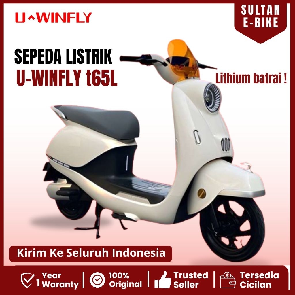 Sepeda Listrik 600 Watt U-Winfly T65L 600 Watt Lithium Battery - Garansi Resmi