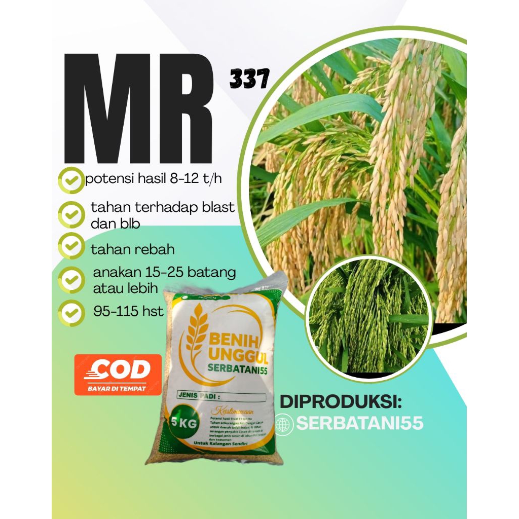 Benih padi MR 337 KEMASAN 5kg