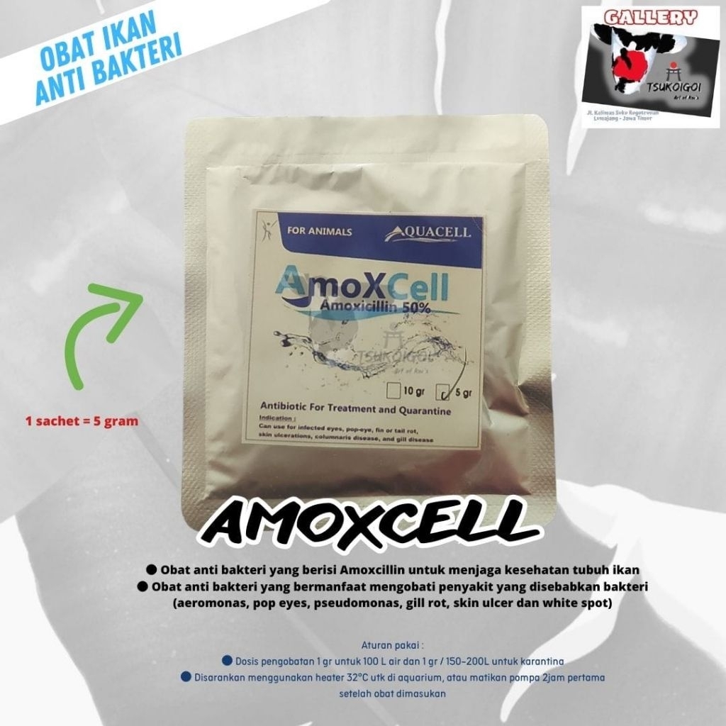 AmoXCell (Amoxicillin 50%)
