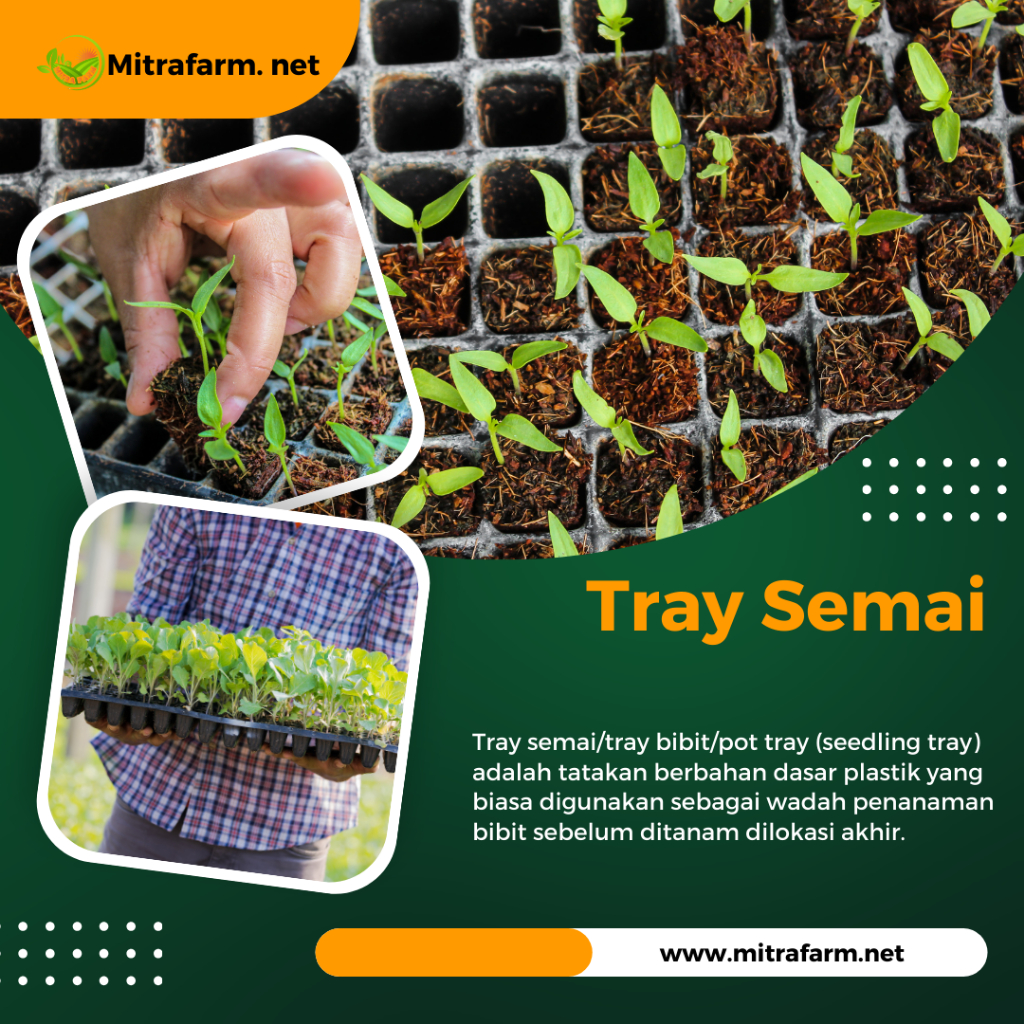 Tray Semai 128 Lubang-Pot Tray Hidroponik Lubang 128- Pot Semai Benih - Seedling pot Hidroponik/Bibi