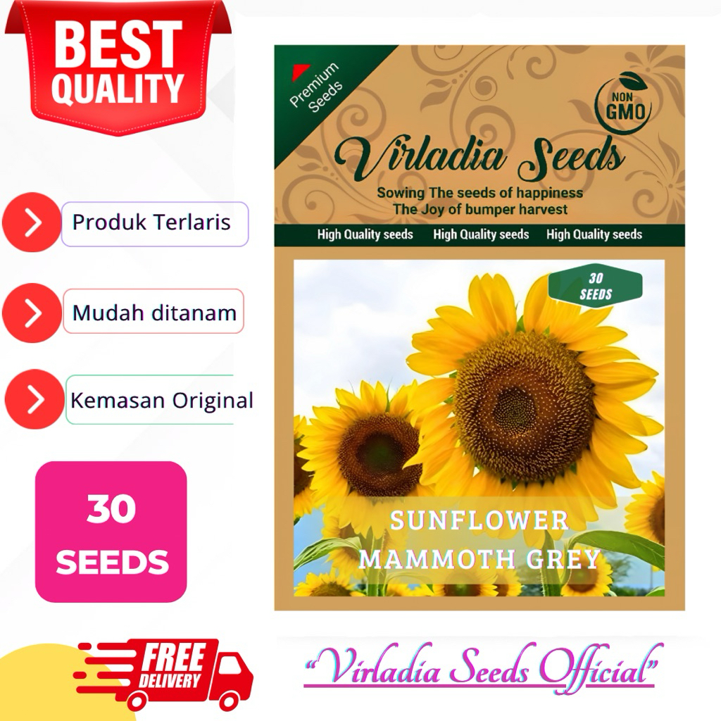 [Virladia Seeds] Biji Benih Bunga Matahari Raksasa Mammoth Grey