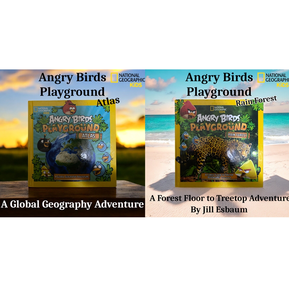 Buku Anak Angry Birds Playground Buku Anak Angry Bird Playground