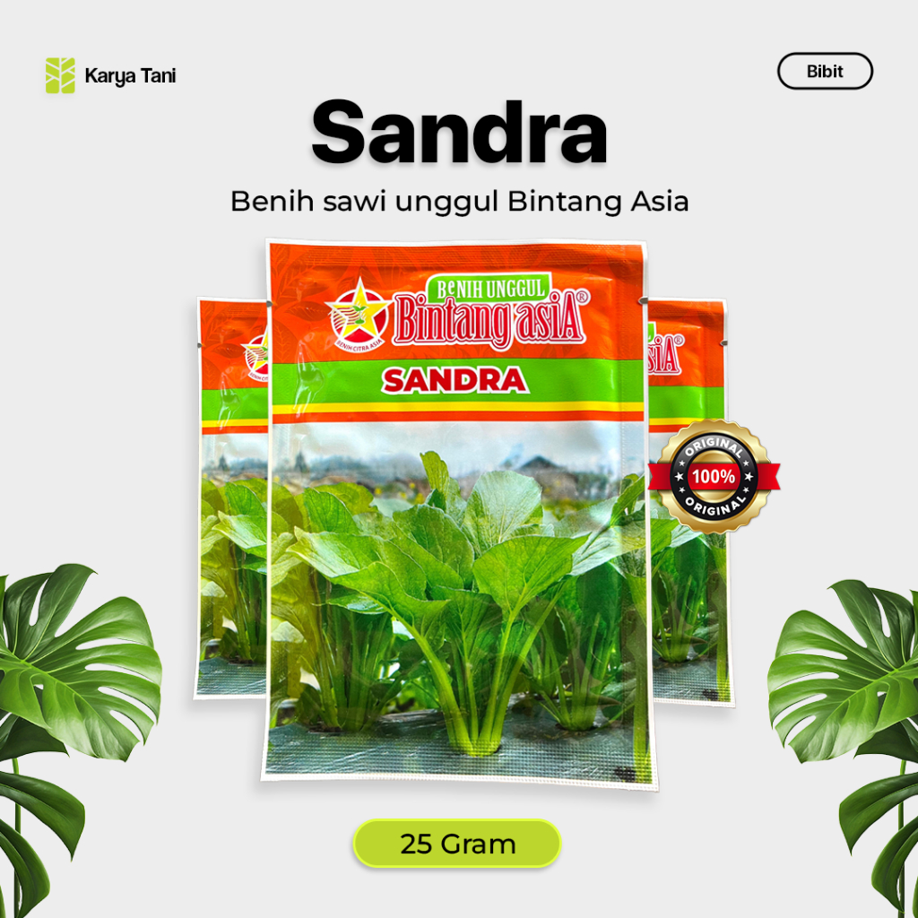 Benih Sawi Hijau Sandra 10 gram Bintang Asia