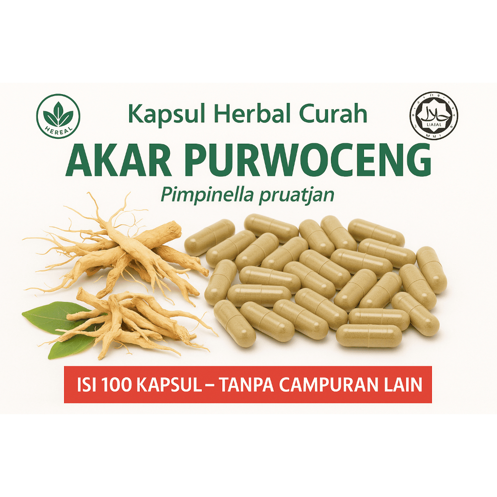 KAPSUL PURWOCENG – ISI 100 KAPSUL (kemasan klip)