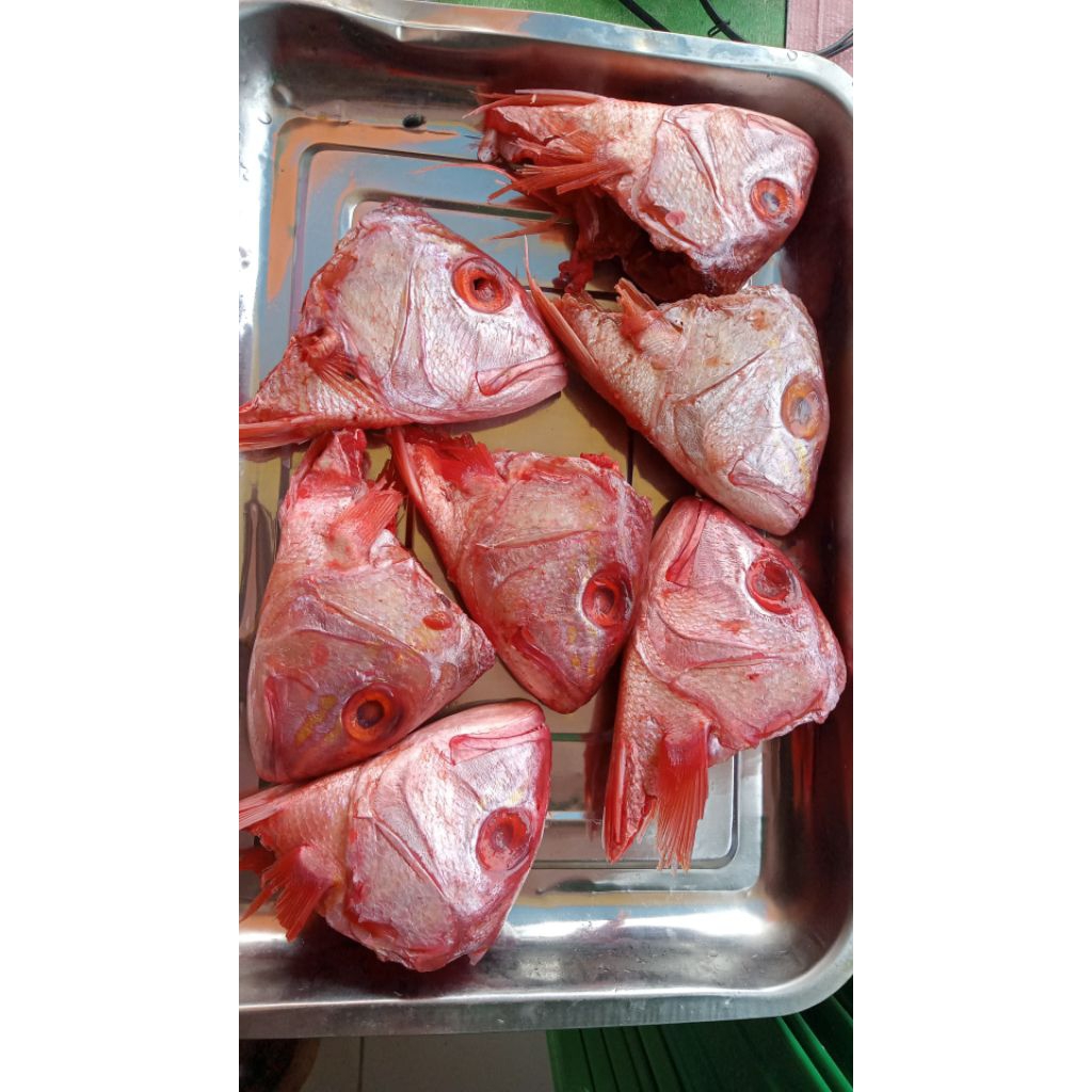 Kepala Kakap Merah