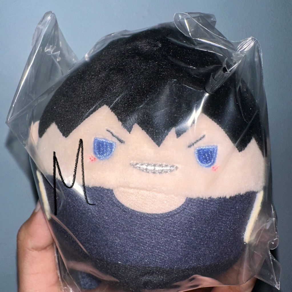 BOOKED haikyuu fuwakororin vol 10 kageyama tobio