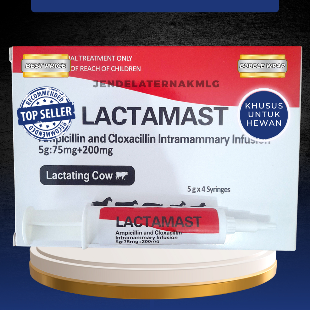 Lactamast 1 Syringe - Antibiotik Intramammary untuk Pengobatan Mastitis pada Sapi Perah