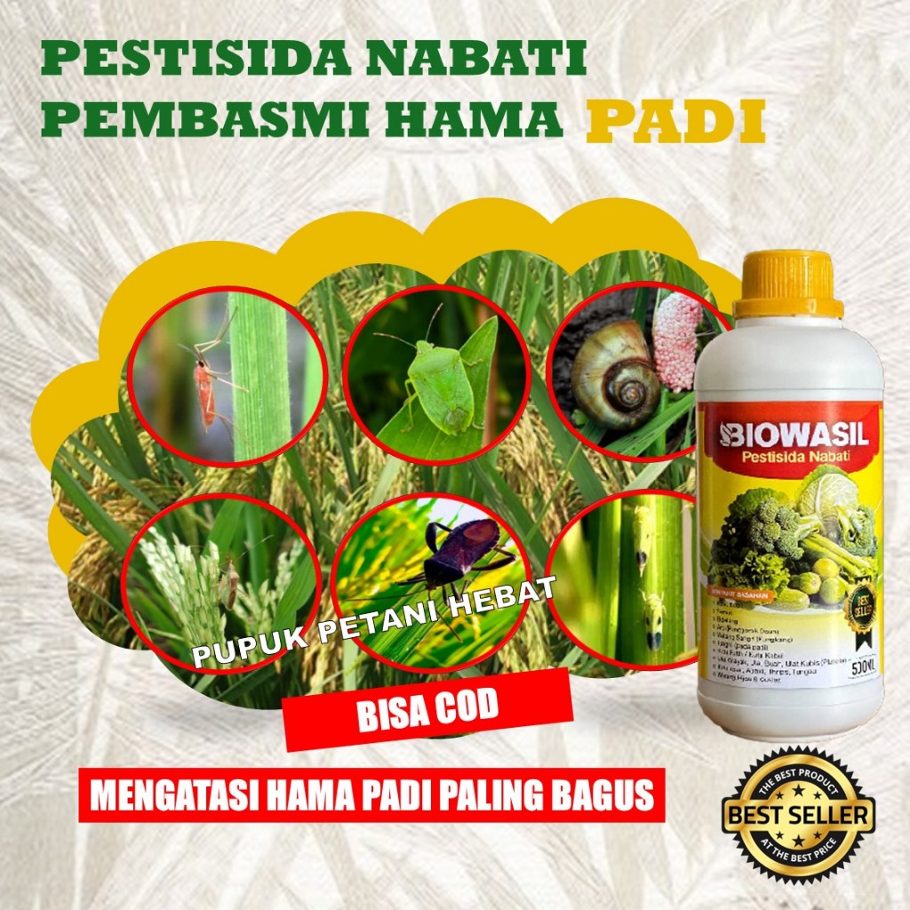 Pestisida Nabati Biowasil untuk Padi | Pembasmi Hama Tikus & Serangga | Lindungi Tanaman Padi Sehat 