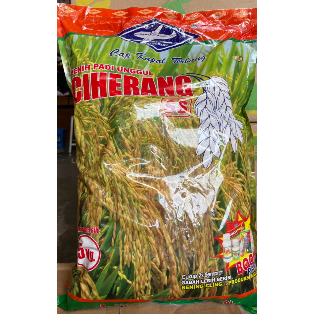 Padi Ciherang SS Bisi 5kg Cap Kapal Terbang Padi Unggul
