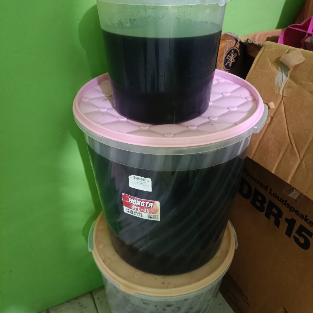 extra Ketapang + secang