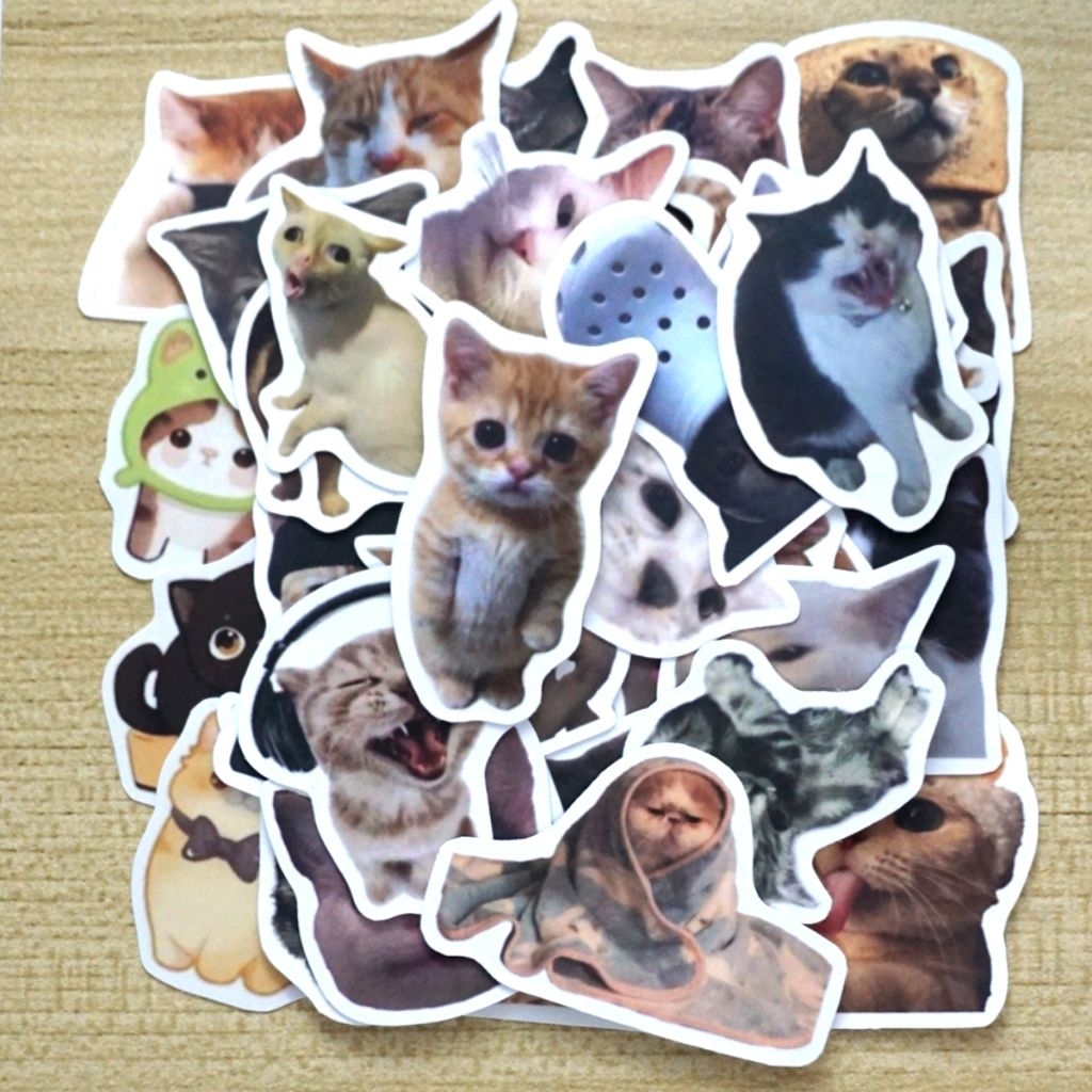 [isi 15 pcs] sticker meme kucing / cat meme / sticker kucing  / sticker cat / sticker meme / sticker
