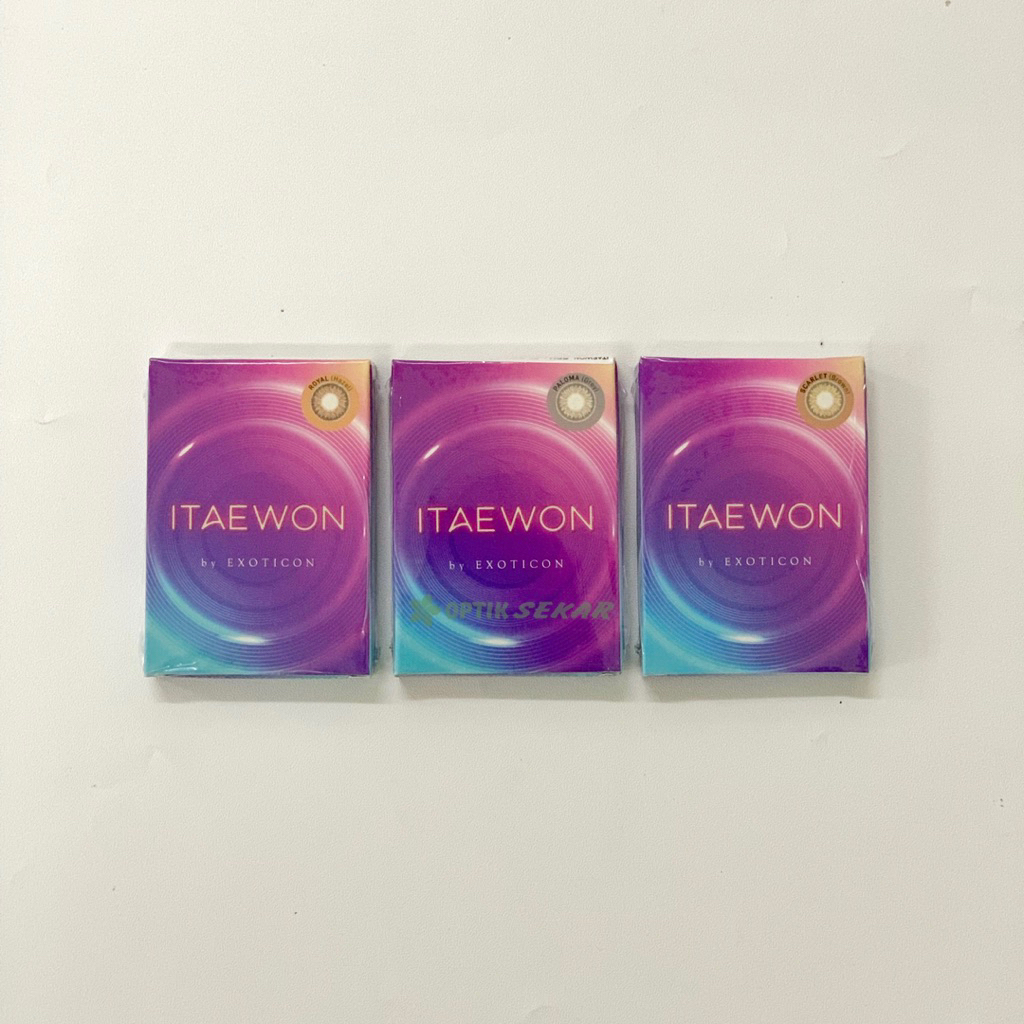 softlens itaewon by exoticon