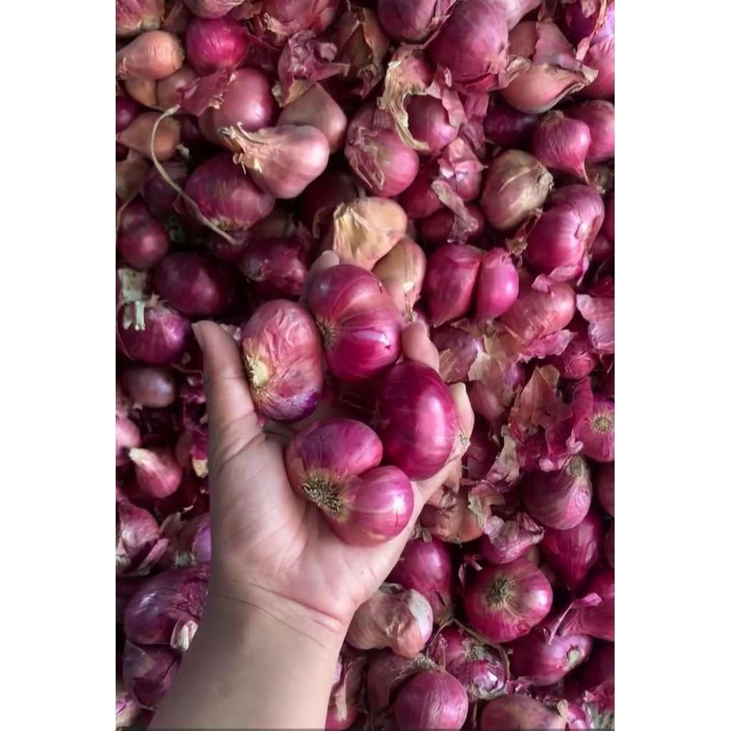 Bawang merah nganjuk