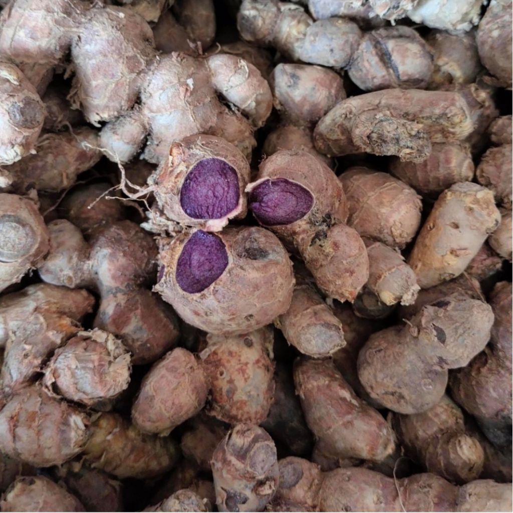 Kunyit hitam asli/rimpang kunyit hitam fresh segar kualitas terbaik 250gram