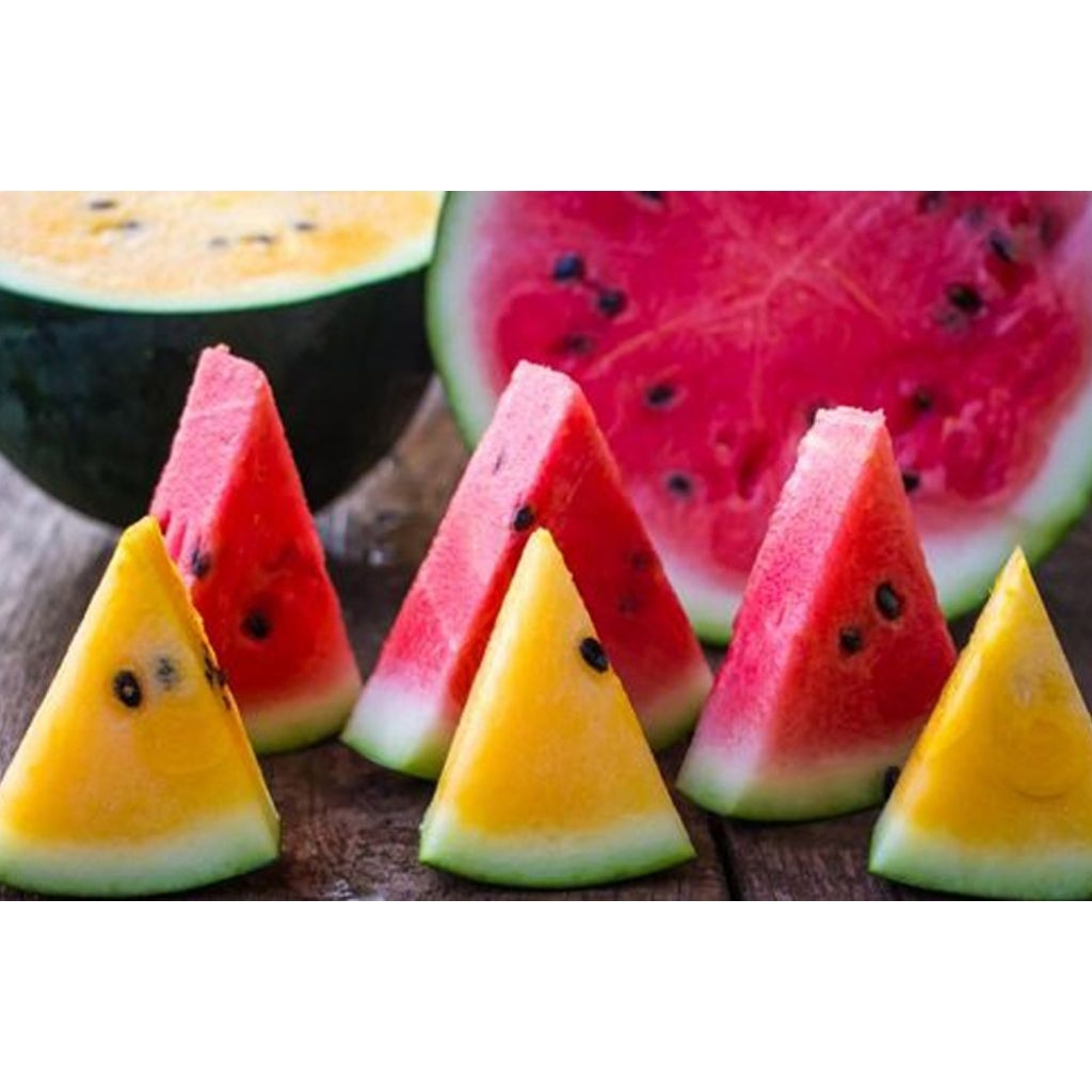 Benih Semangka Hibrida Semangka Merah Lonjong Benih Bibit Biji Semangka Kuning Lonjong