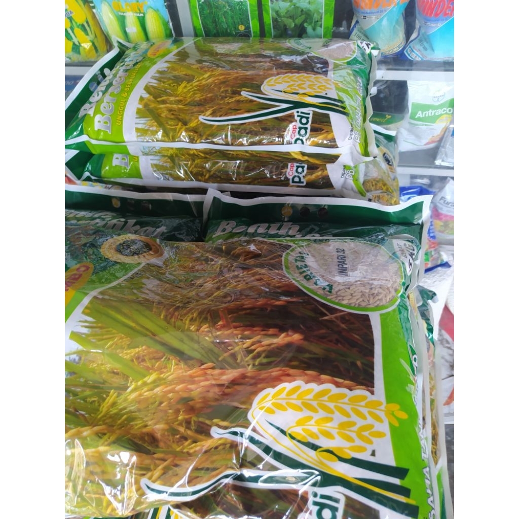 Benih Inpari 47, 42, 32