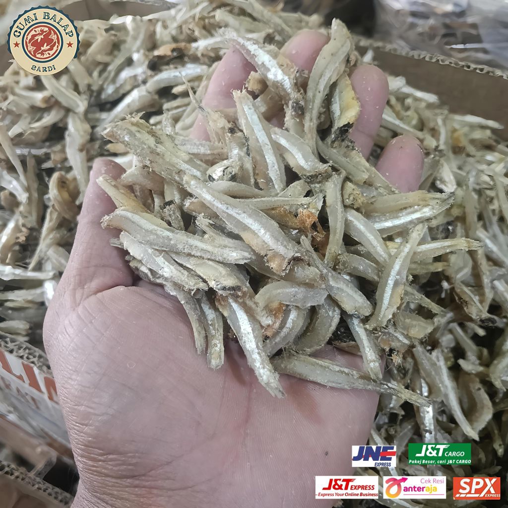 ikan teri jengki tanpa kepala